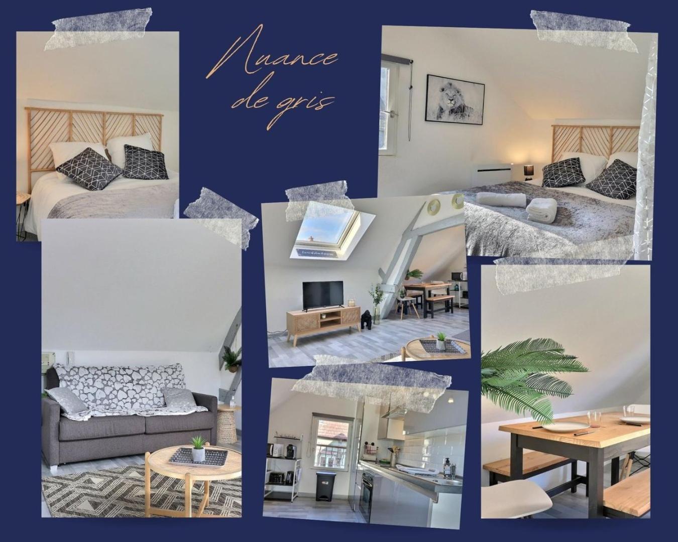 Downtown Apartment - Quiet And Cozy - Mon Groom 特鲁瓦 外观 照片