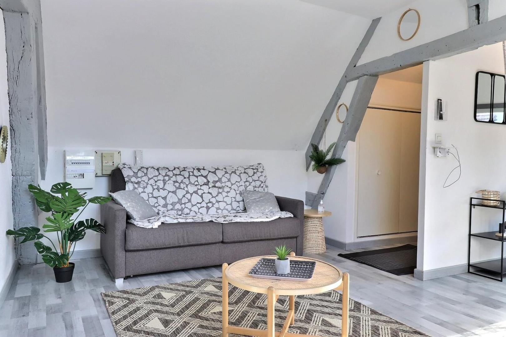 Downtown Apartment - Quiet And Cozy - Mon Groom 特鲁瓦 外观 照片