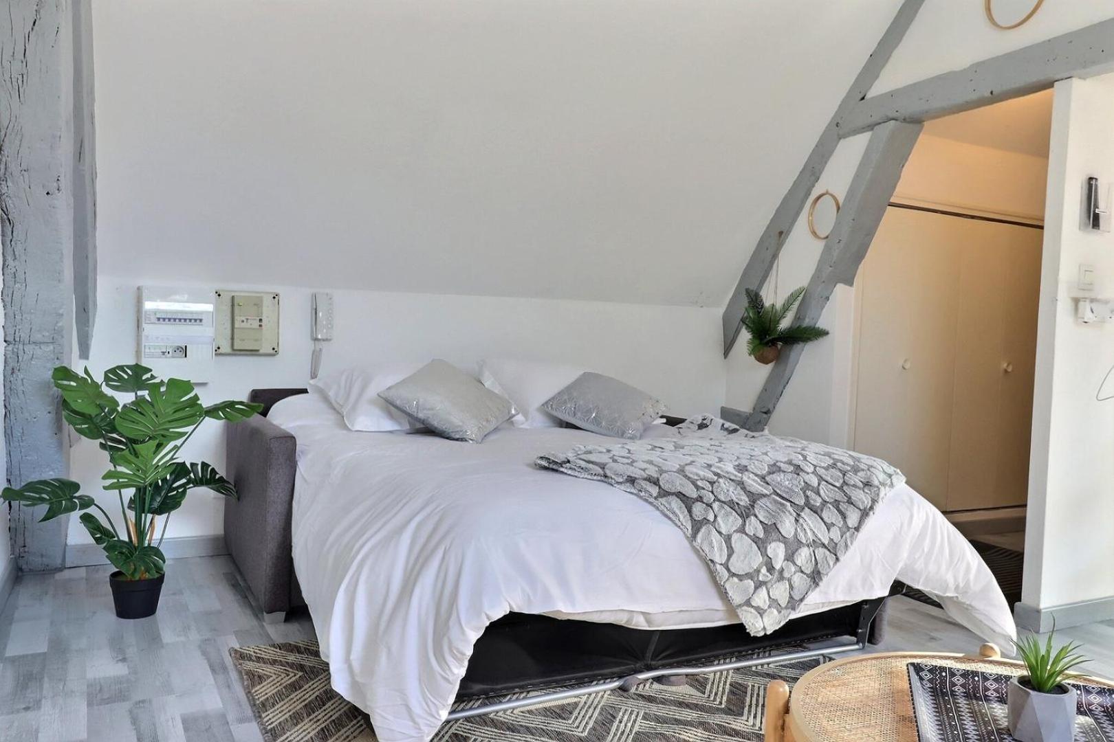 Downtown Apartment - Quiet And Cozy - Mon Groom 特鲁瓦 外观 照片