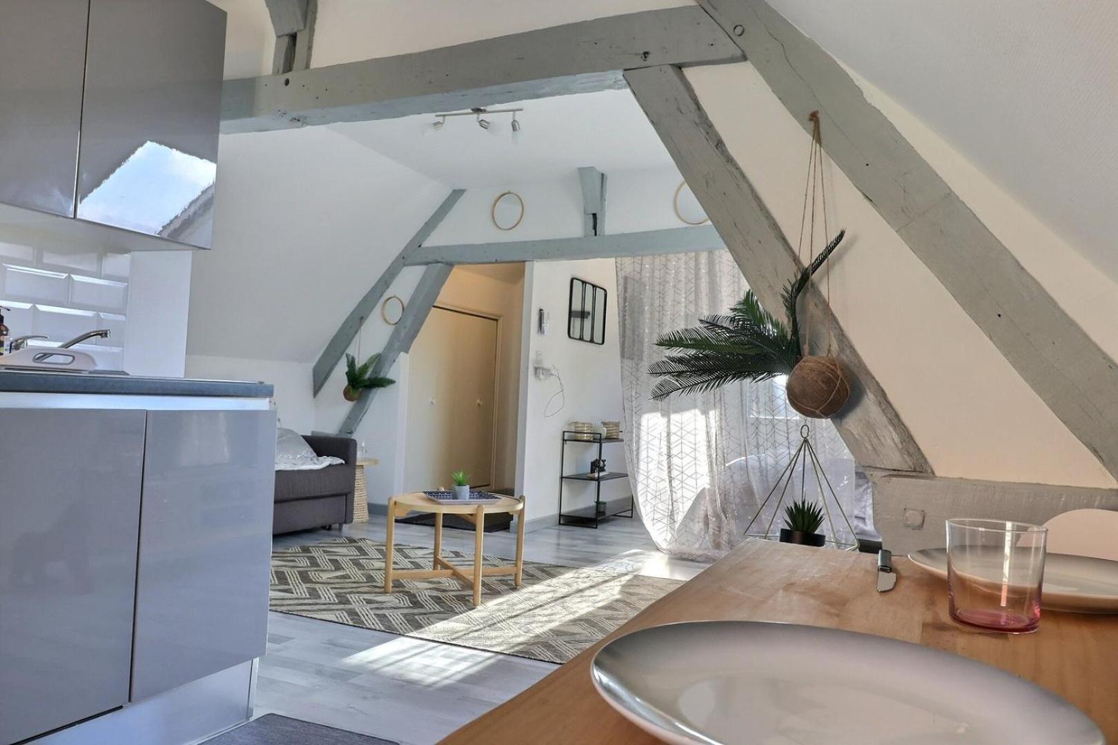 Downtown Apartment - Quiet And Cozy - Mon Groom 特鲁瓦 外观 照片