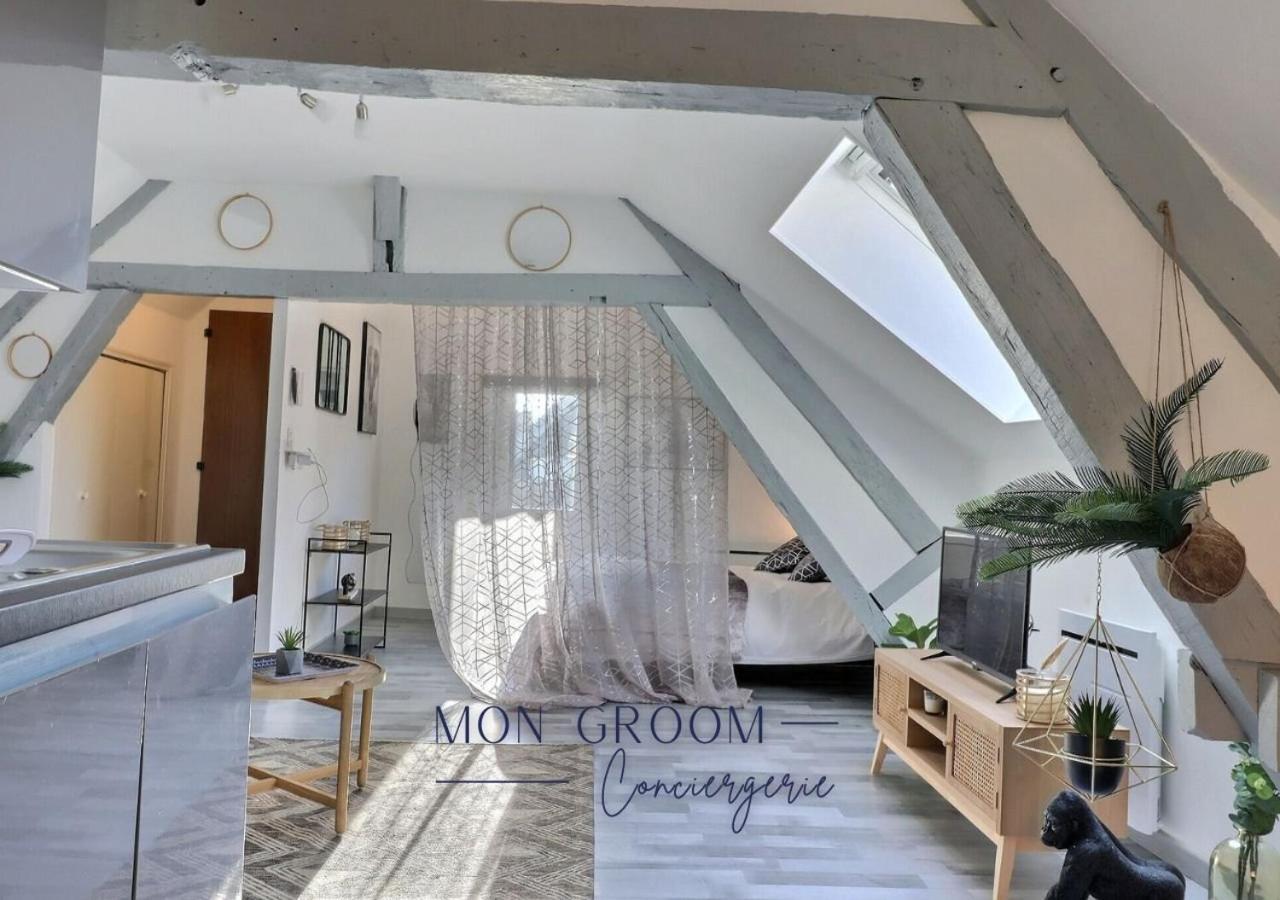 Downtown Apartment - Quiet And Cozy - Mon Groom 特鲁瓦 外观 照片